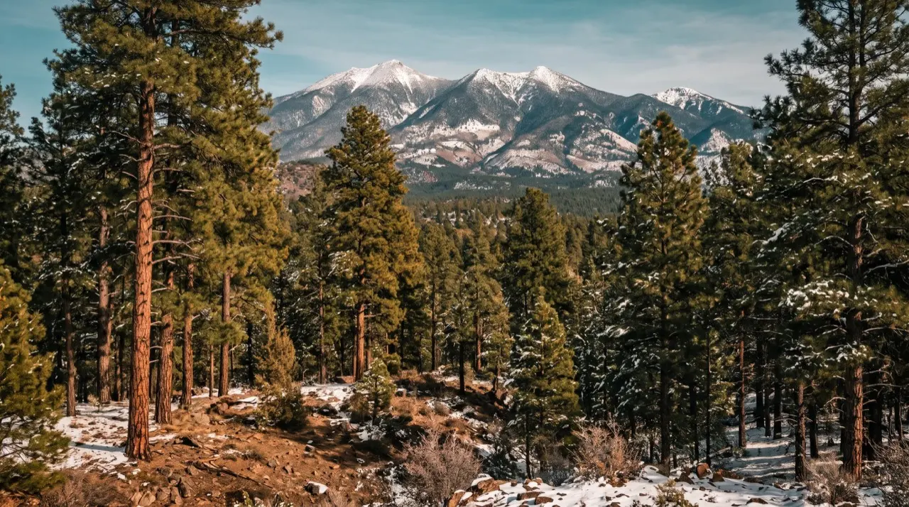 Portable toilet rentals in Flagstaff, Arizona