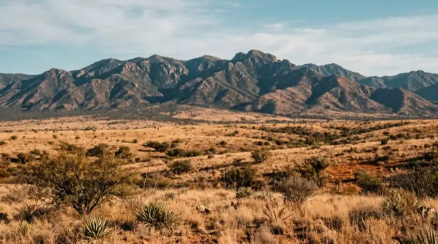 Portable toilet rentals in Sierra Vista, Arizona
